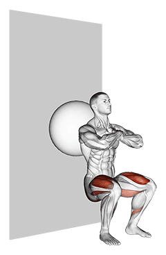 Exercise Ball Wall Squat exercise demonstration for Quadriceps, and Thighs, Stability ball