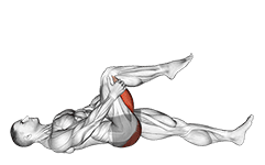 Leg Up Hamstring Stretch exercise demonstration for Hamstrings, and Thighs, Body weight