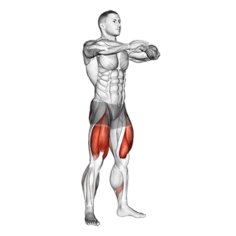 Sit Squat exercise demonstration for Thighs, Body weight