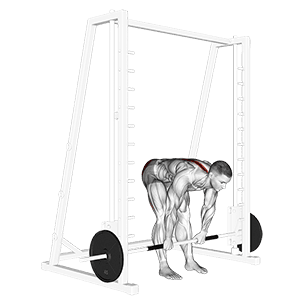 Smith Stiff Legged Deadlift exercise demonstration for Hips, Smith machine