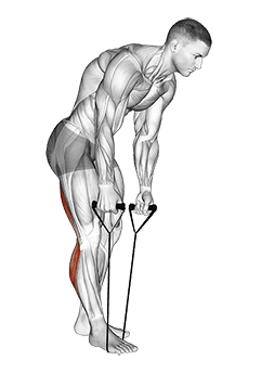 Standing Hamstring and Calf Stretch with Strap exercise demonstration for Hamstrings, and Thighs, Rope