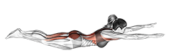 Swimmer exercise demonstration for Hips, Body weight