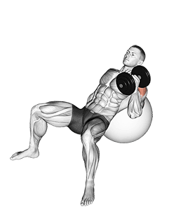 Dumbbell Incline One Arm Hammer Press on Exercise Ball exercise demonstration for Upper Arms, Dumbbell