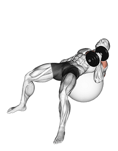 Dumbbell One Arm Hammer Press on Exercise Ball exercise demonstration for Upper Arms, Dumbbell