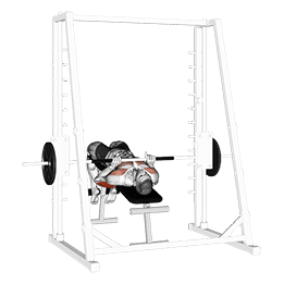 Smith Machine Decline Close Grip Bench Press exercise demonstration for Upper Arms, Smith machine