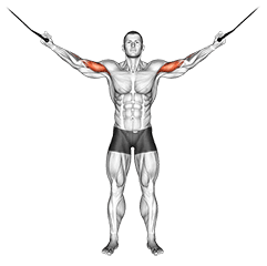 Overhead Curl exercise demonstration for Biceps, and Upper Arms, Cable
