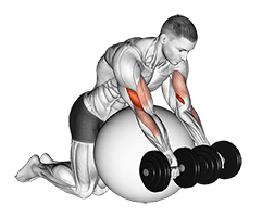 Dumbbell Preacher Curl over Exercise Ball exercise demonstration for Biceps, and Upper Arms, Dumbbell