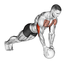 Medicine Ball Close Grip Push Up exercise demonstration for Upper Arms, Medicine Ball