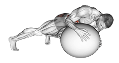 Prone Twist On Stability Ball exercise demonstration for Waist, Stability ball