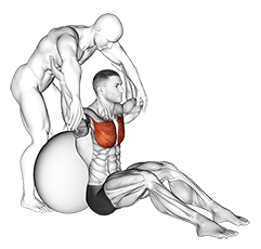 Assisted Seated Pectoralis Major Stretch With Stability Ball exercise demonstration for Chest, Assisted