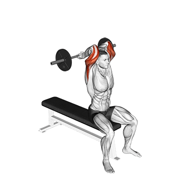 Seated Close grip Behind Neck Triceps Extension exercise demonstration for Triceps, and Upper Arms, Barbell