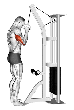 Cable One Arm Tricep Pushdown exercise demonstration for Triceps, and Upper Arms, Cable