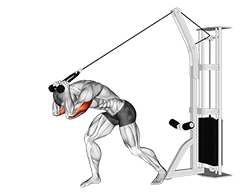 Cable Rope High Pulley Overhead Tricep Extension exercise demonstration for Triceps, and Upper Arms, Cable