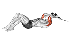Cable Rope Lying on Floor Tricep Extension exercise demonstration for Triceps, and Upper Arms, Cable