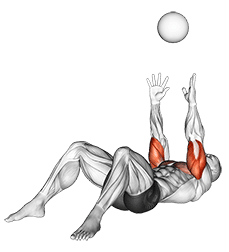 Medicine Ball Supine Chest Throw exercise demonstration for Upper Arms, Medicine Ball