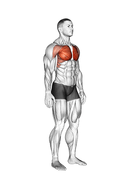 Above Head Chest Stretch exercise demonstration for Chest, Body weight