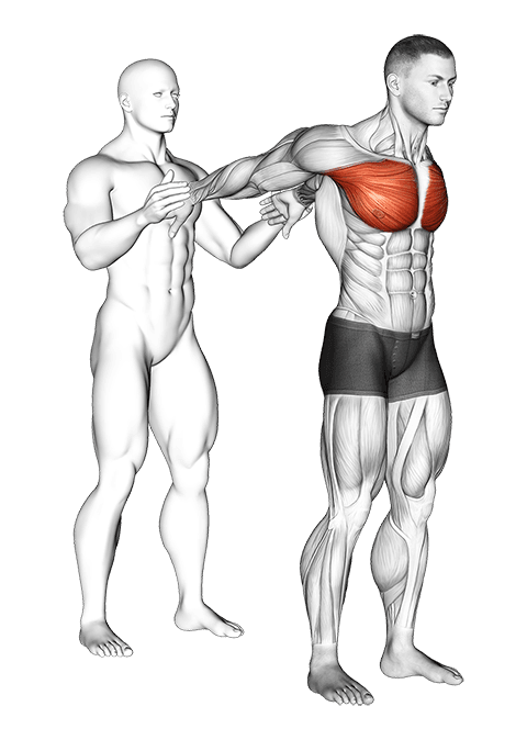 Assisted Standing Chest Stretch exercise demonstration for Chest, Assisted