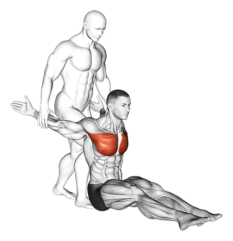 Assisted Seated Chest Stretch exercise demonstration for Chest, Assisted