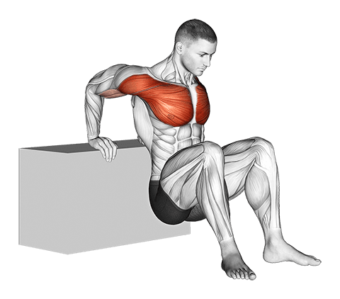 Reverse Chest Stretch exercise demonstration for Chest, Body weight