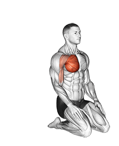 Over Head Straight Arm Stretch exercise demonstration for Chest, Body weight