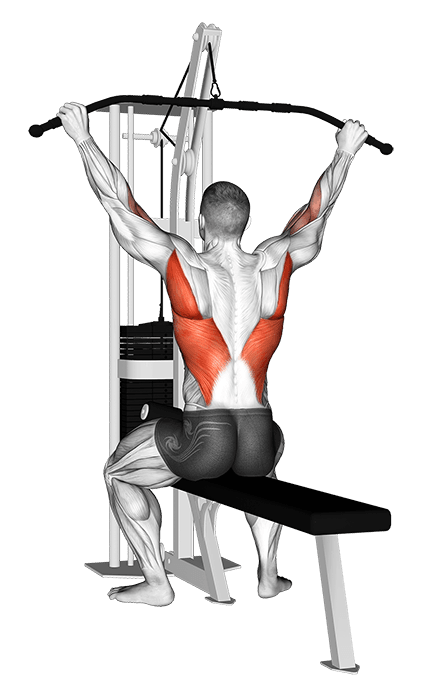 Cable Suspension Back Stretch exercise demonstration for Back, Cable
