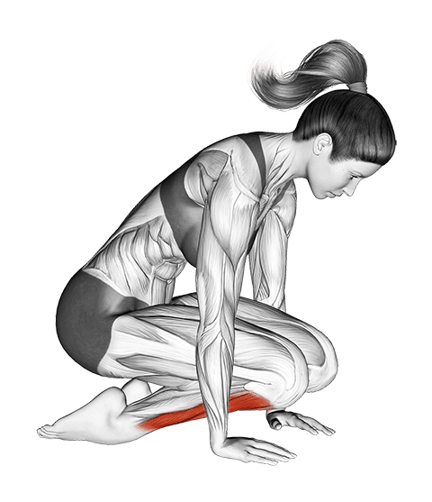 Double Kneeling Shin Stretch exercise demonstration for Calves, Body weight