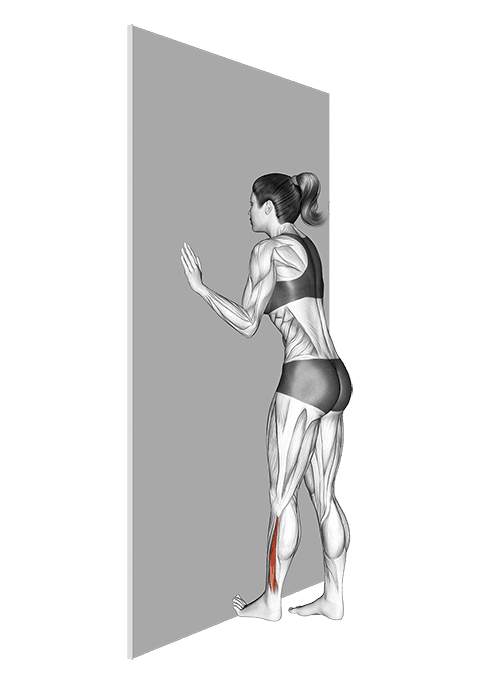 Standing Toe Flexor Stretch exercise demonstration for Calves, Body weight