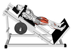 Sled Full Hack Squat exercise demonstration for Thighs, Sled machine