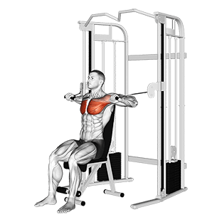 Cable Seated Chest Press exercise demonstration for Chest, Cable