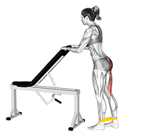 Resistance Band One Leg Kickback exercise demonstration for Hips, Resistance Band