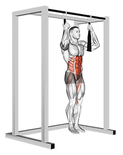 Arm slingers Hanging Bent Knee Legs exercise demonstration for Waist, Body weight