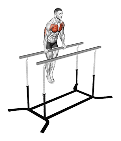 Chest Dip on Straight Bar exercise demonstration for Chest, Body weight