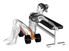 Resistance Band Hip Thrust exercise demonstration for Hips, Resistance Band