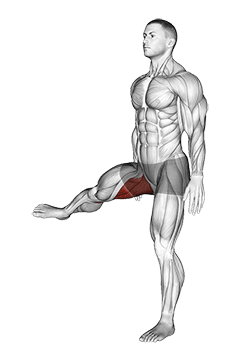 Hip - Adduction - Articulations exercise demonstration for Hips, Body weight