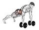 Plank Push-Up Row exercise demonstration for Back, and Chest, Dumbbell