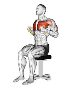 Resistance Band Seated Chest Press exercise demonstration for Chest, Resistance Band