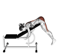 Incline Reverse Hyperextension exercise demonstration for Hips, Body weight