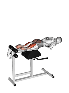 Glute-Ham Raise exercise demonstration for Hamstrings, and Thighs, Body weight