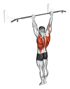 Archer Pull up exercise demonstration for Back, Body weight