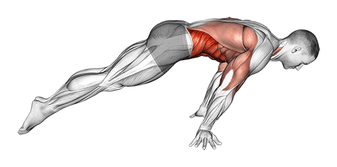 Lean plank exercise demonstration for Waist, Body weight