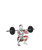 Barbell Weightlifting Complex exercise demonstration for Quadriceps, and Thighs, Barbell
