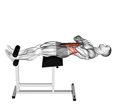 Roman Chair Sit-Up exercise demonstration for Waist, Body weight