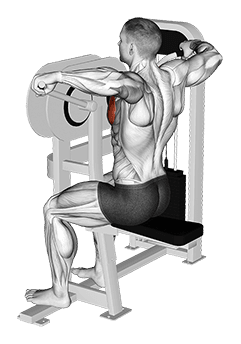 Lever Crossovers exercise demonstration for Chest, Leverage machine