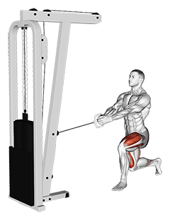 Cable Lunge exercise demonstration for Quadriceps, and Thighs, Cable