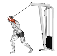 Cable One Arm High Pulley Overhead Tricep Extension exercise demonstration for Triceps, and Upper Arms, Cable