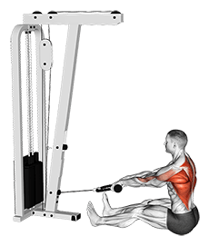 Cable Seated on Floor Row with Rope exercise demonstration for Back, Cable
