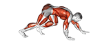 Bear Crawl exercise demonstration for Cardio, Body weight