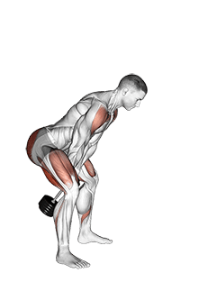 Dumbbell Swing exercise demonstration for Hamstrings, and Thighs, Dumbbell