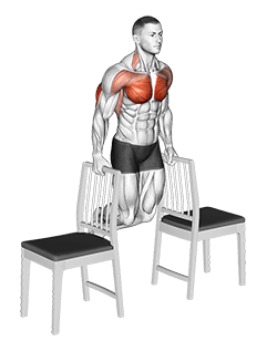 Dips between Chairs exercise demonstration for Triceps, and Upper Arms, Body weight