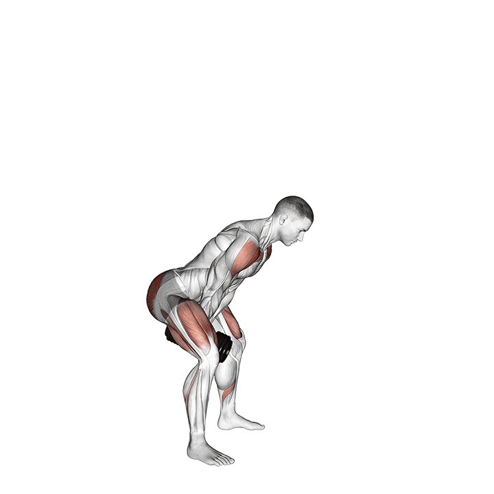 Dumbbell Full Swing exercise demonstration for Hips, Dumbbell